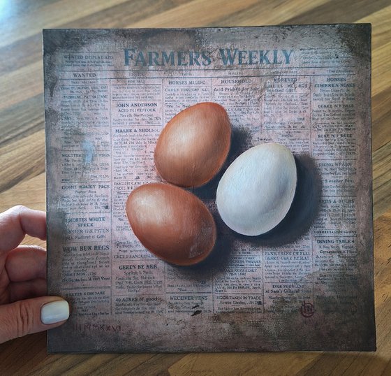 Farmhouse Chronicle Three Farm Eggs
