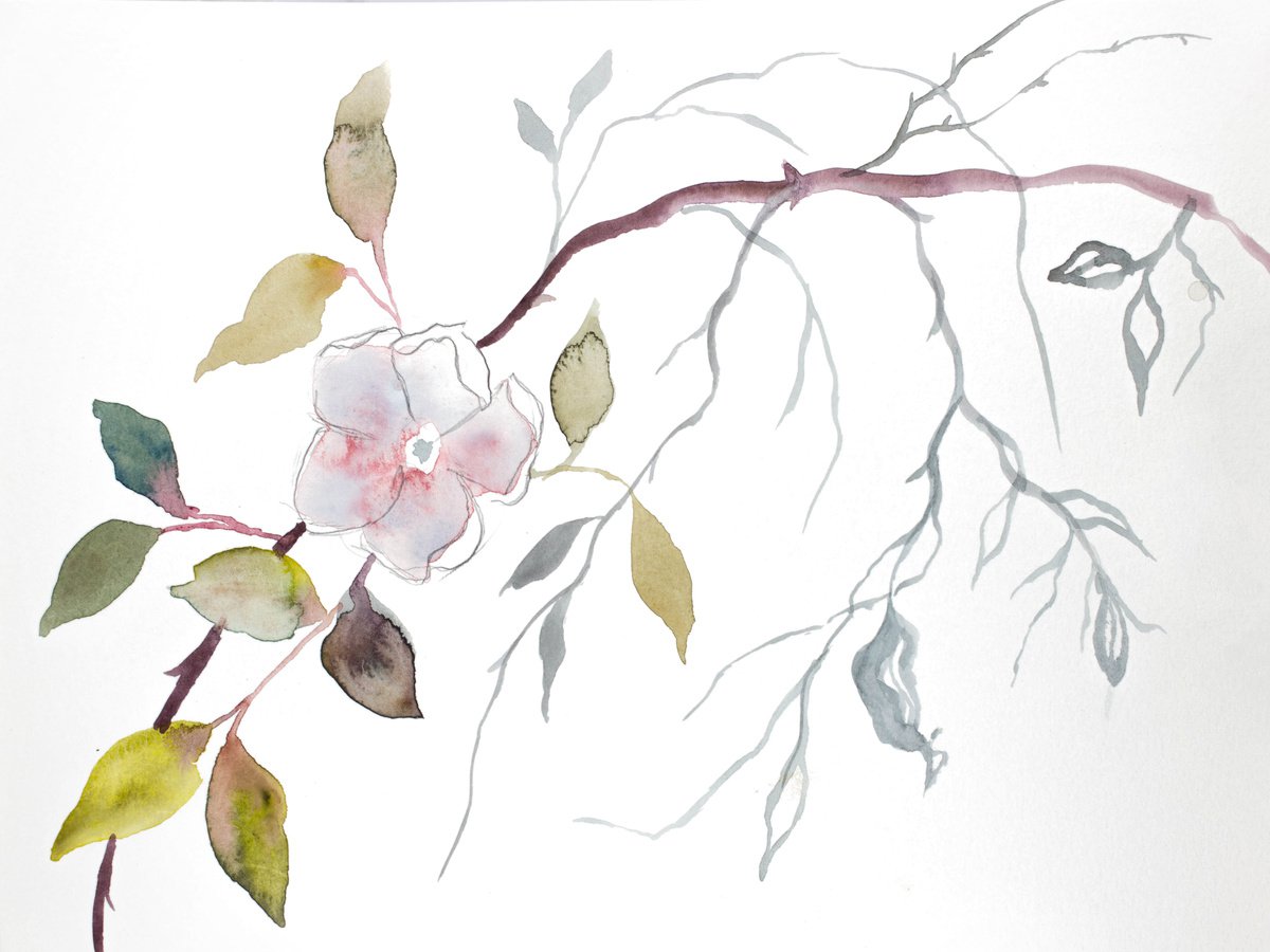 Wild Rose No. 19 by Elizabeth Becker