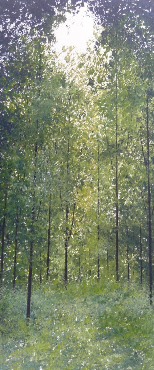 St James' Park 2 by Jan Rippingham