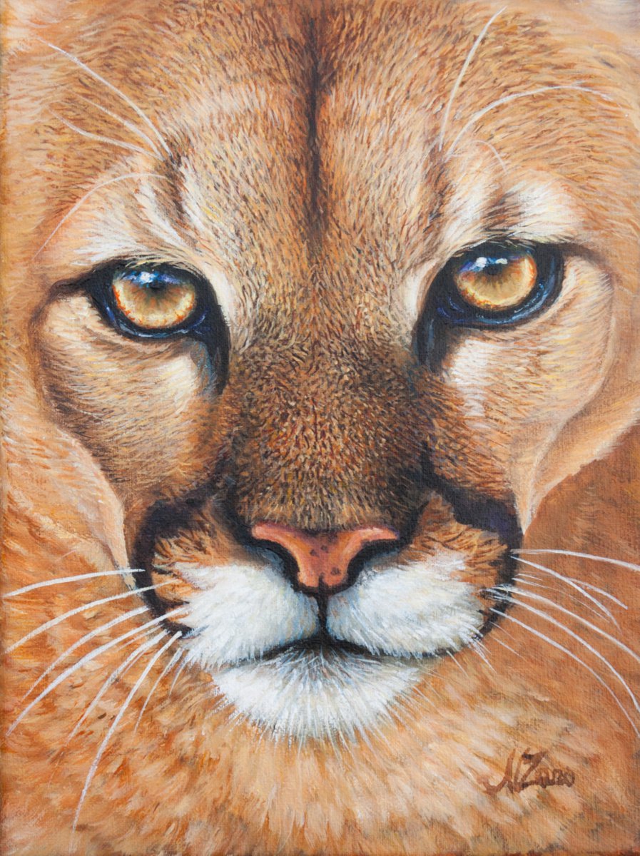 Cougar portrait by Norma Beatriz Zaro