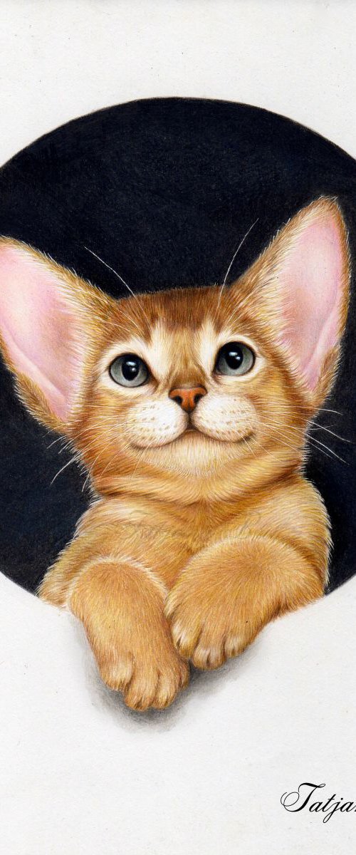 Little cat colored pencils by Tatjana Bril