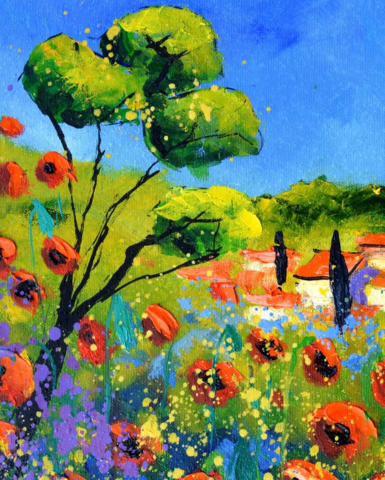 Poppies in Provence 4525