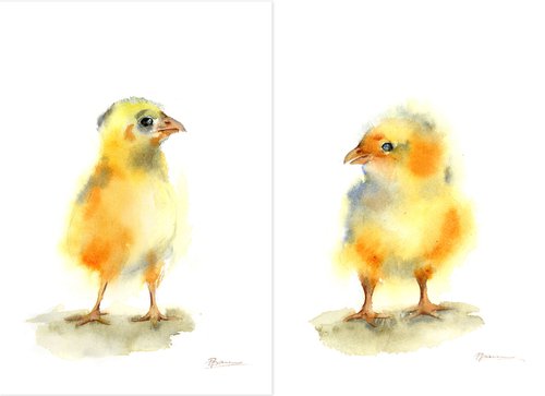 Set of 2 baby Chick by Olga Shefranov (Tchefranov)