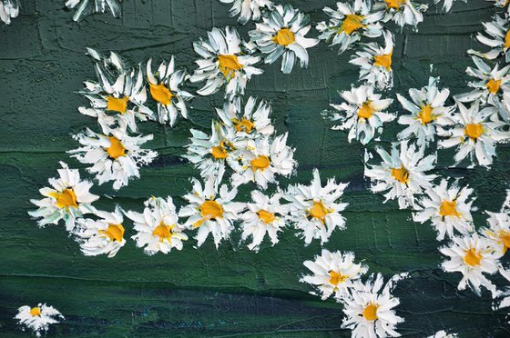 Daisies