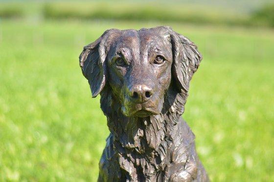 Golden Retriever Bronze Resin