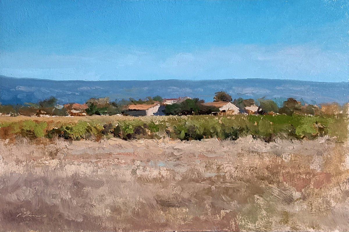 Vineyards in the Luberon by Pascal Giroud
