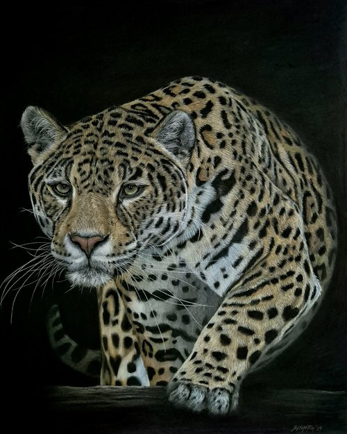 Jaguar portrait 'Out of shadows' by Silvia Frei