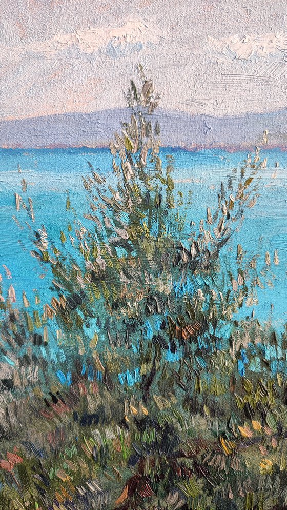 Olive trees, sea and sky