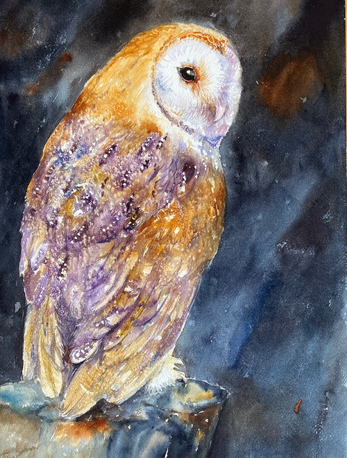 Barn owl Luke by Arti Chauhan