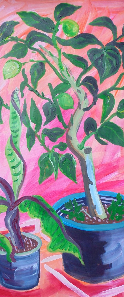 Lemon Tree and Banana Plant by Kirsty Wain