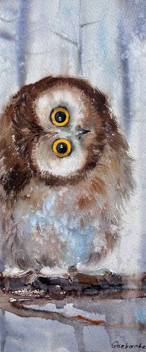 Owlet in the winter forest by Eugenia Gorbacheva