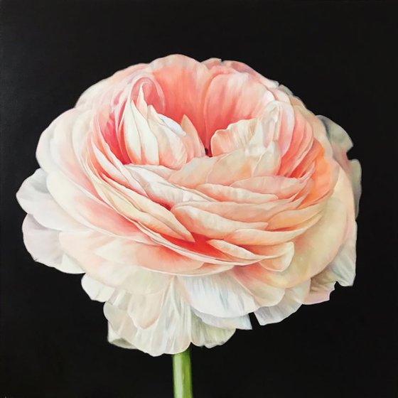 Large square painting with ranunculus 90*90 cm by Ivlieva Irina