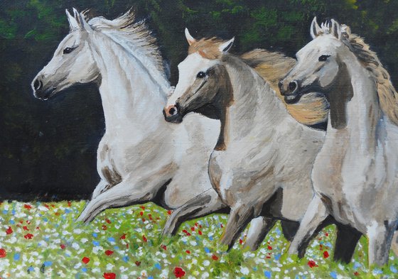 HORSES