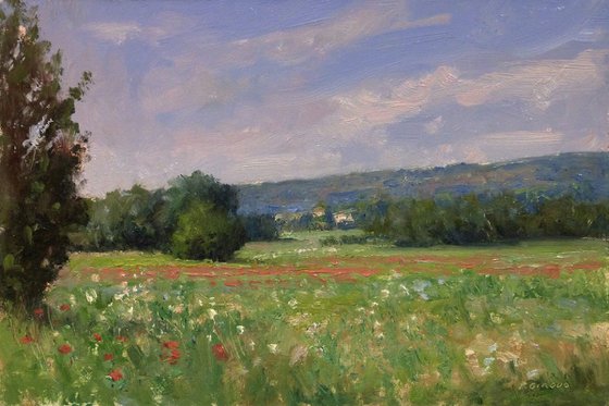 Field with Poppies in the Luberon