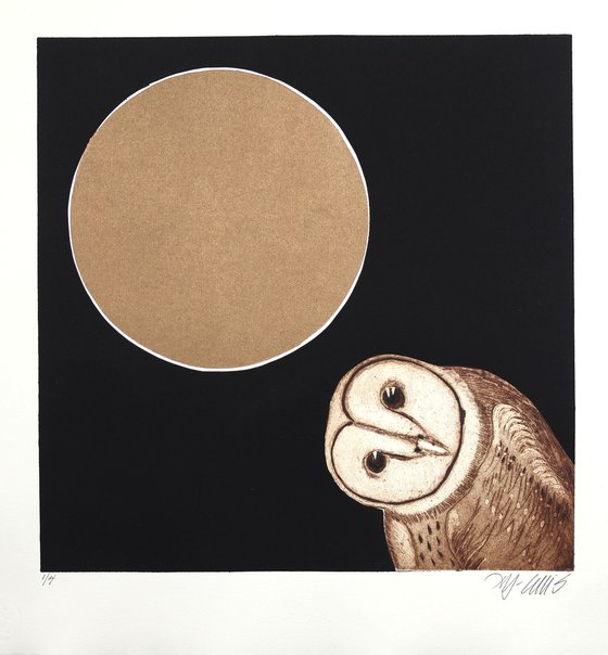 Midnight Fox and Midnight Owl Printset