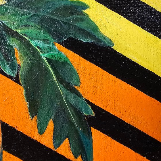 Rainbow Chrysanthemums