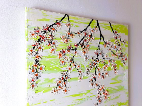 Cherries in the spring 2