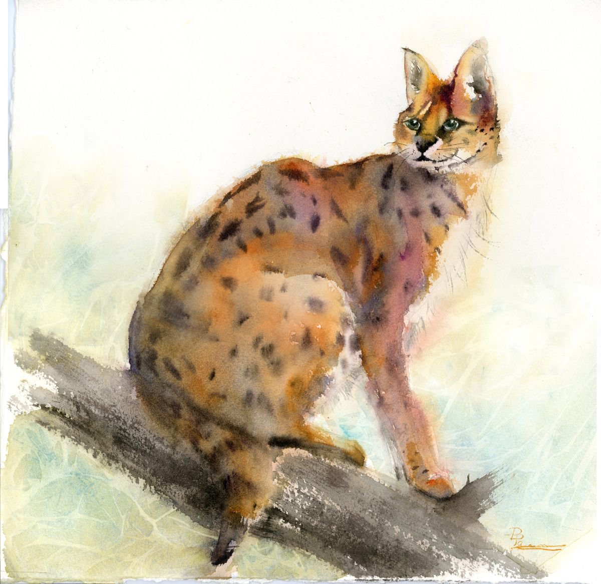 Impressionistic Animal Watercolour By Olga Tchefranov (Shefranov), 14 X 14", Wild Grace - Serval Cat, Original Artwork
