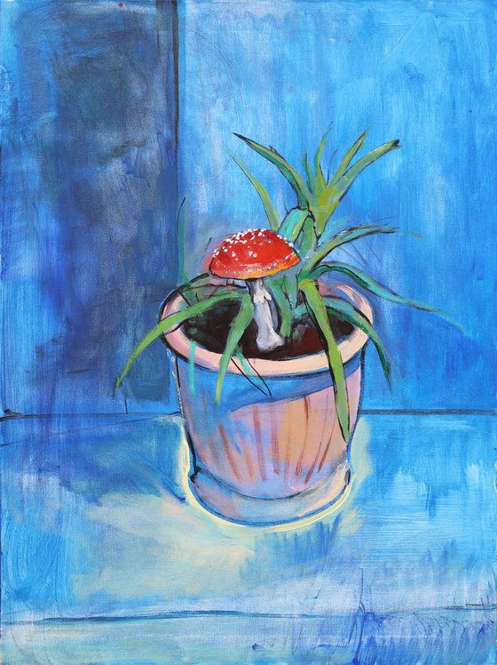 Amanita and Aloe. Relation ship
