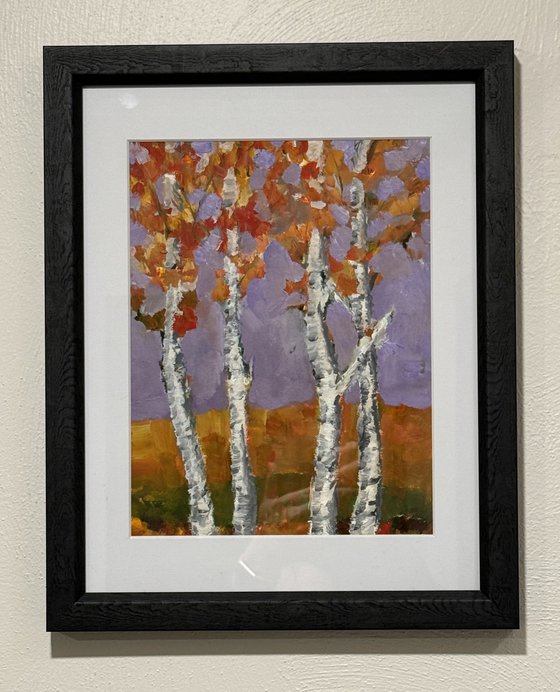 Birch Trees