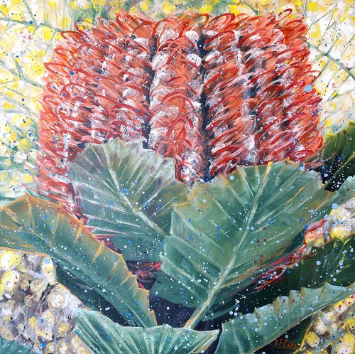 Outshine The Light - Scarlet Banksia and Wattle by HSIN LIN