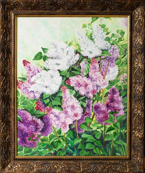 Bloomed lilac by Vera Melnyk by Vera Melnyk