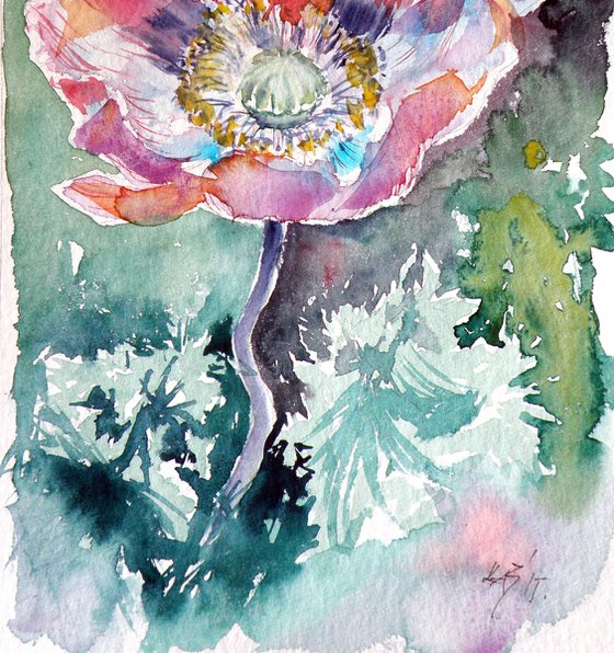 Poppy