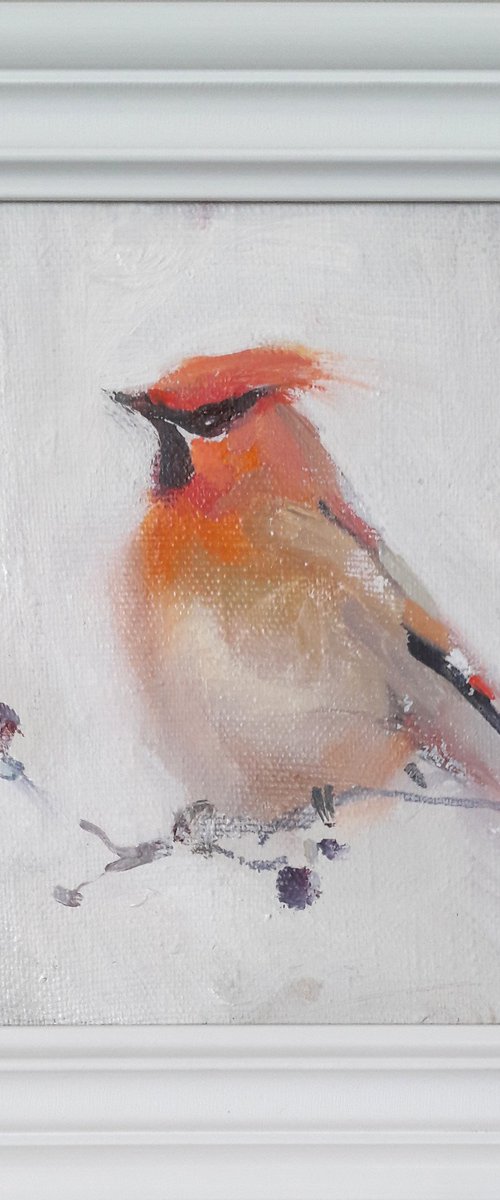 Waxwing by Tatyana Barinova