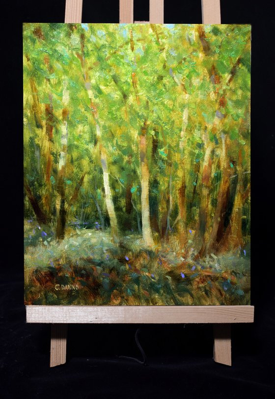 Forest with birch trees