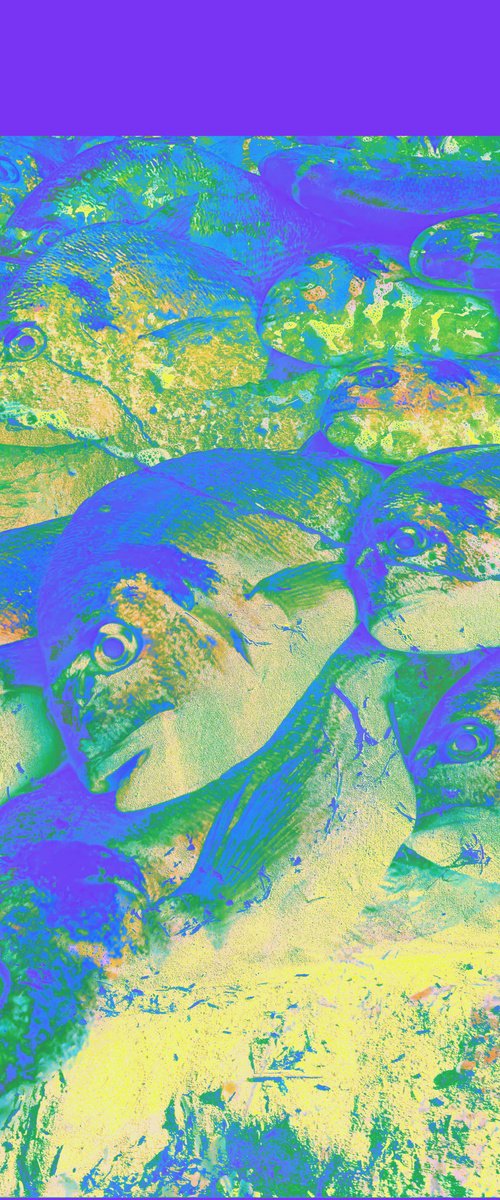 Digital collage Colorful Fish by Yuliia Sharapova