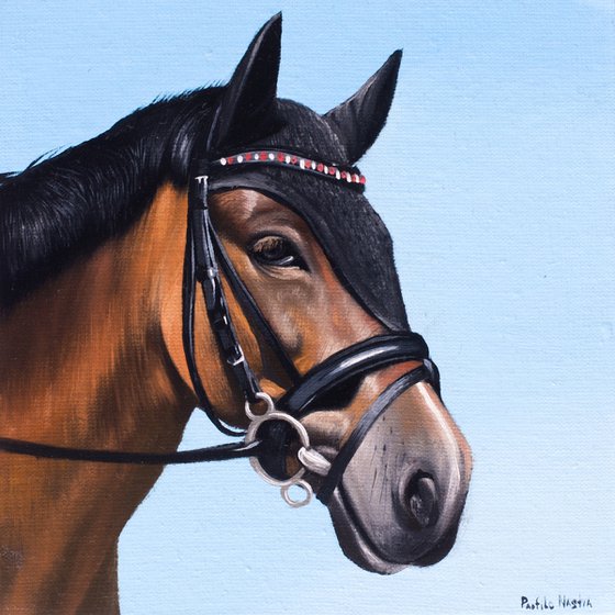 Horse portrait 94