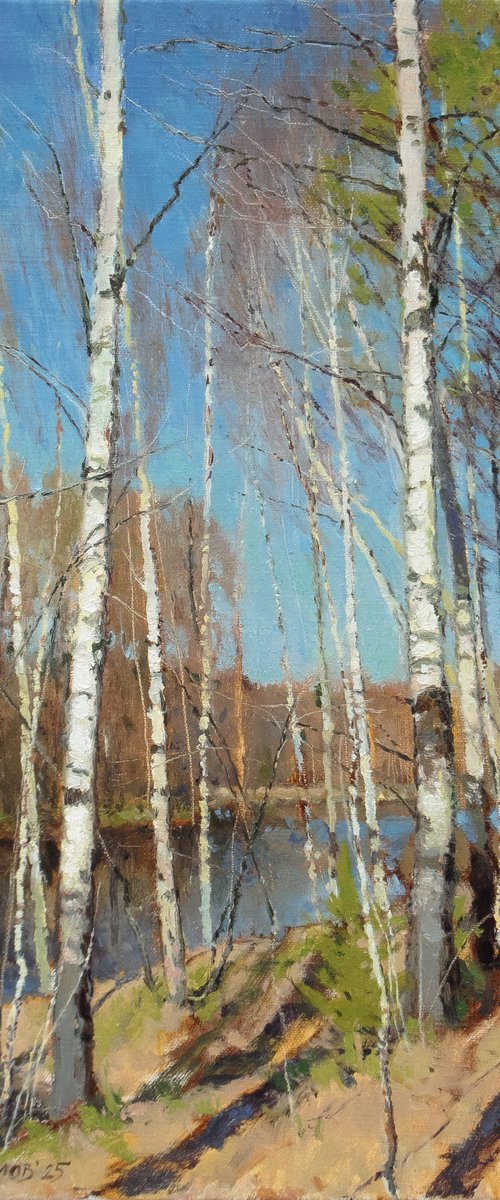 Spring on the Chibyshva River by Andrey Jilov