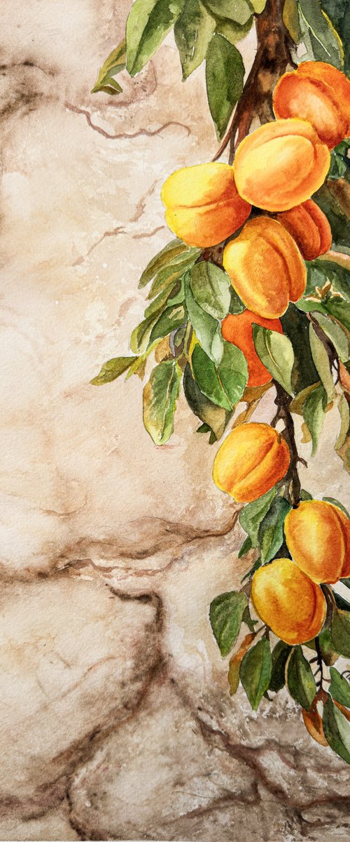 Whispers Through the Wall – Apricots by Irina Kurganskaya