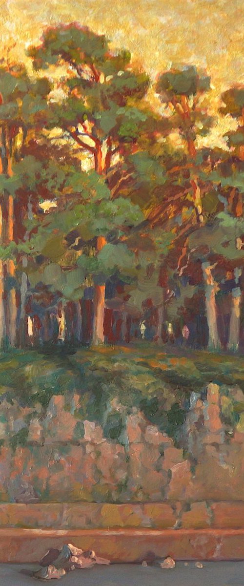 Forest by Sergej Sologub