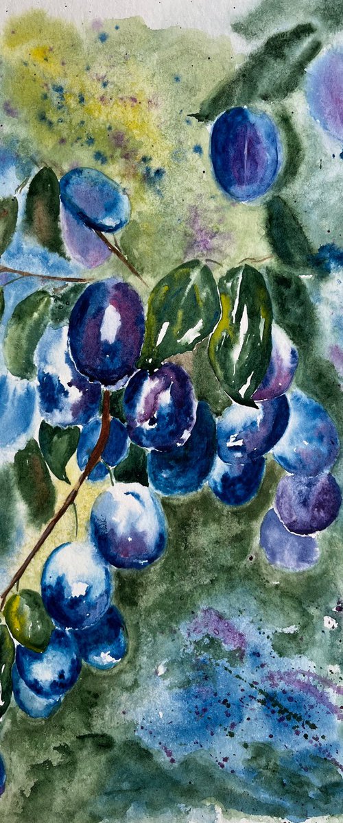 Plums painting by Halyna Kirichenko