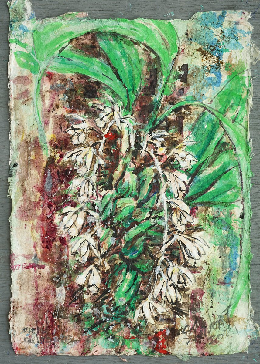 Orchid Coelogyne By Gordon T., 10 X 14, Artwork For Sale On Artfinder