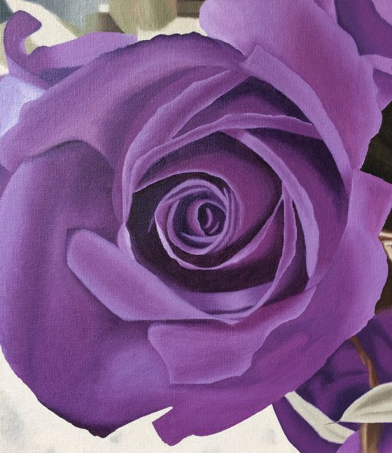 Purple Roses