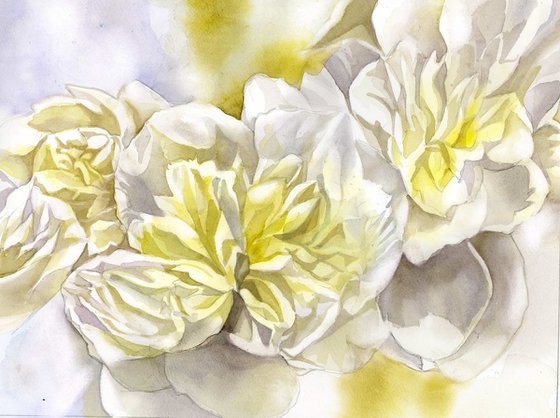 white peonies with yellow