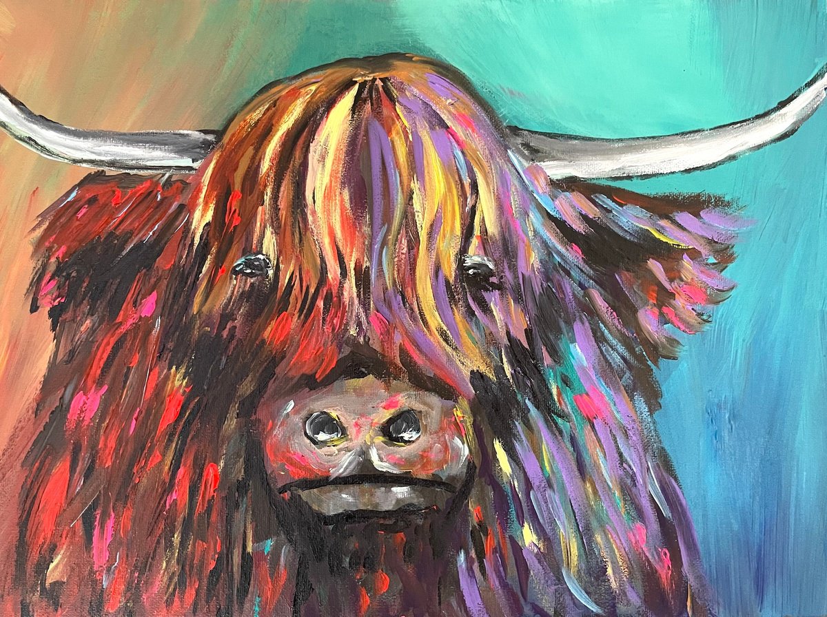 Highland Cow by Aisha Haider