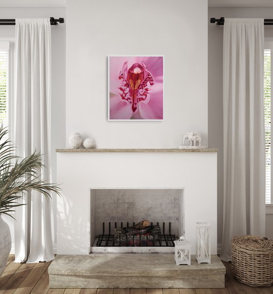 Orchid - a flower of femininity and passion, number 2