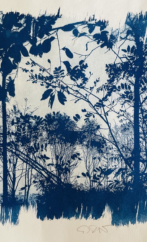 Into The Woods 2025 by Gesa Reuter