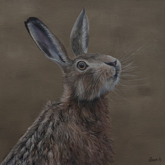 Portrait of a Hare III