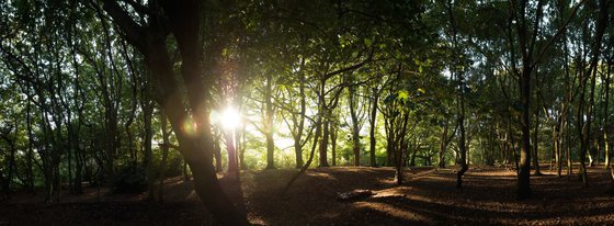 Hampstead Heath