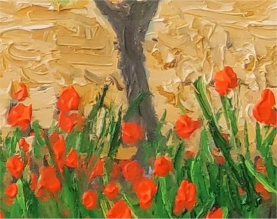 Wild poppies, with windmill