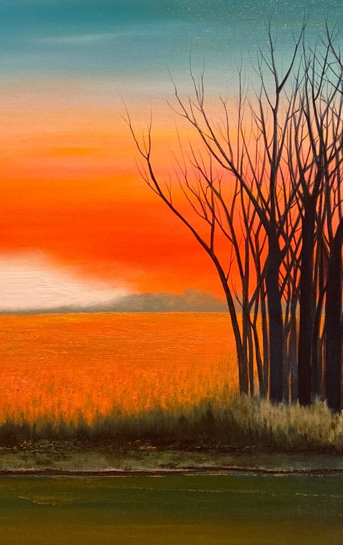 Sanctuary by Faith Patterson