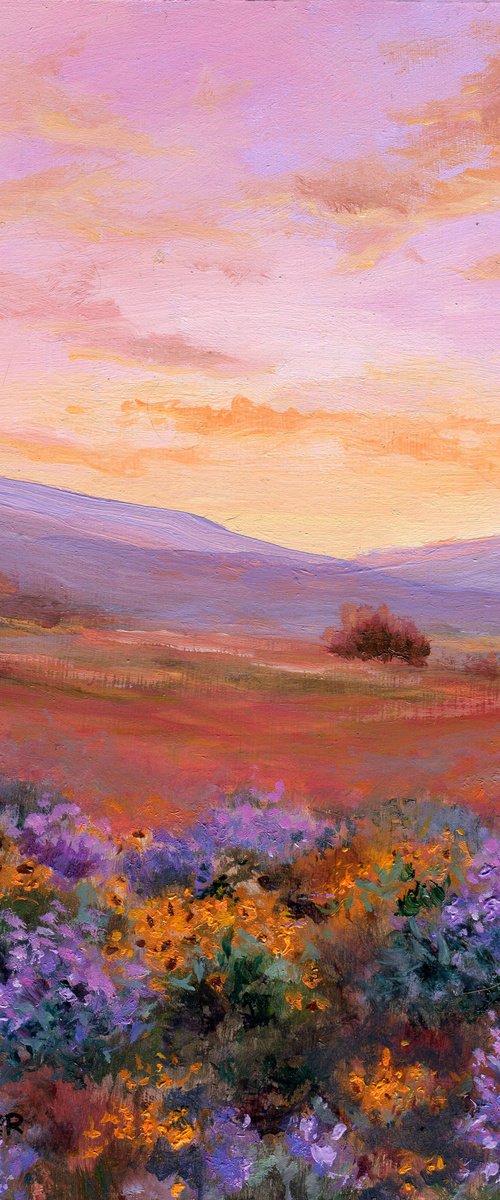 'Among balsamroots and lupins' by Lucia Verdejo