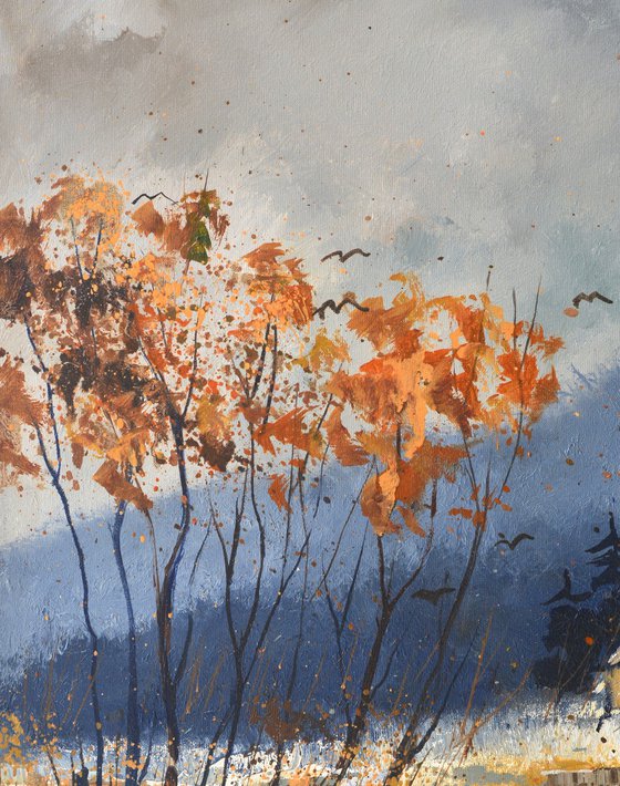 Some orange trees in winter
