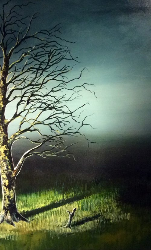Tender is the night by Dolgor Dugarova