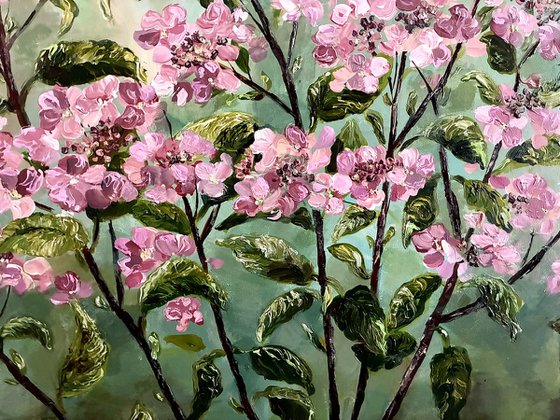 Hortensia Rose