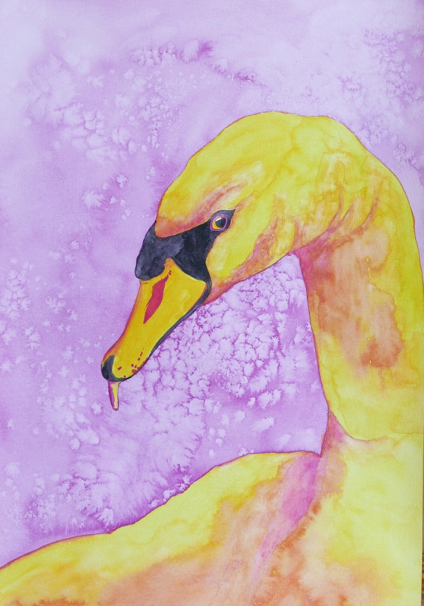 Yellow swan by Karina Danylchuk
